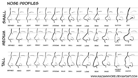 Nose Types Chart