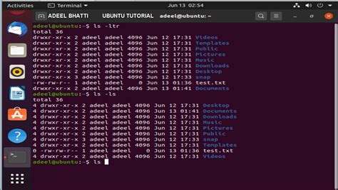 Number Lines in Ubuntu Command