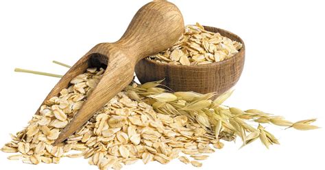 Oats grain
