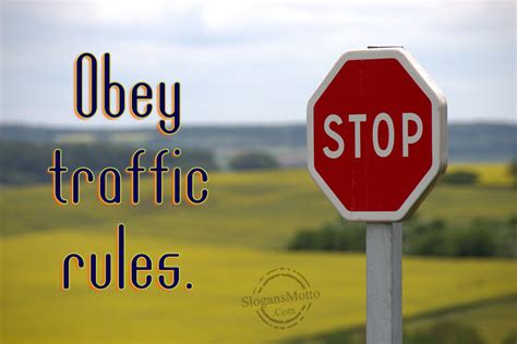 Obey the rules
