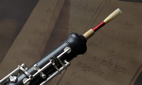 Oboe