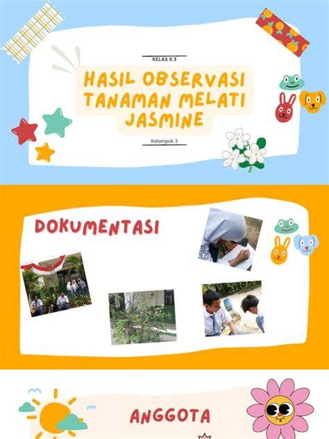 Observasi Tanaman