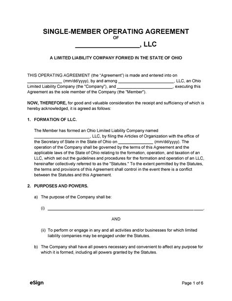 Ohio Single Member Llc Operating Agreement Template