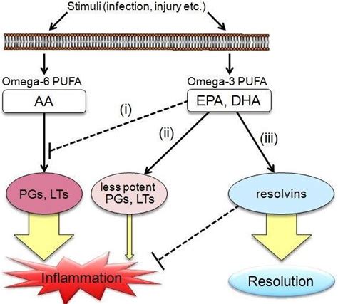 Anti-Inflammation Omega 3