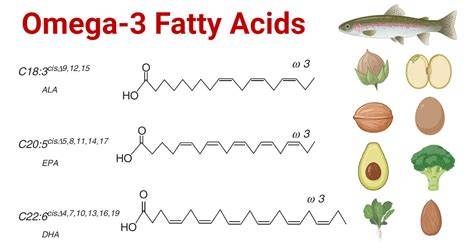 Omega fatty acids