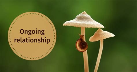 On Going dalam Hubungan Personal