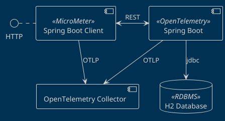 OpenTelemetry Spring Boot Native Troubleshooting