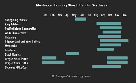 Oregon Mushroom Season Chart