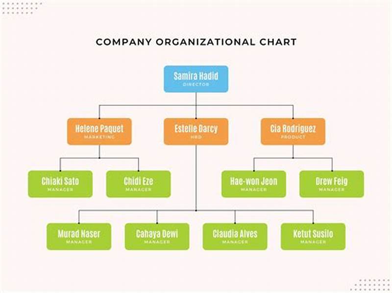 Organization Chart Examples