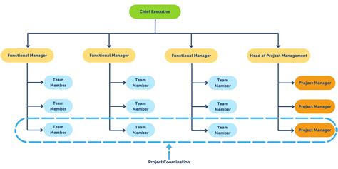 Organization Chart In Project Management