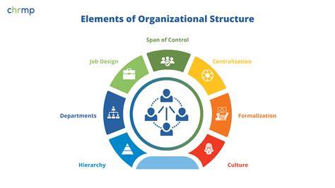 Organization Management Structure