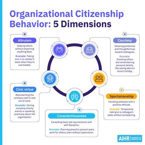 Organizational Citizenship Behavior concept