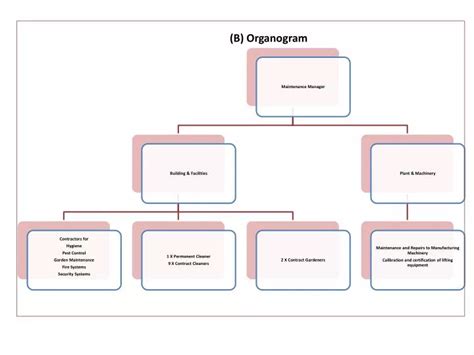 Organogram Template In Powerpoint