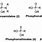 Organophosphorus Compounds