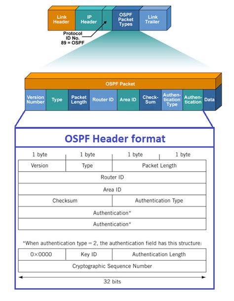 Ospf Hello Packet Format