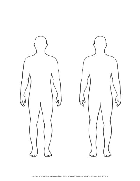 Outline Body Template