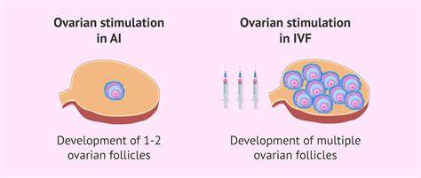 Ovarian stimulation for IVF