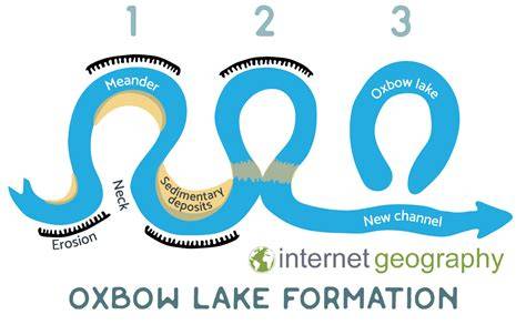 Oxbow lake formation