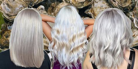 Oyster Hair Color Catalog