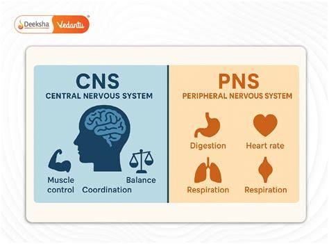 PNS Working