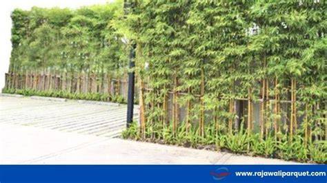 Pagar Bambu dengan Tanaman Merambat