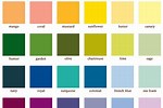 Paint Color Names