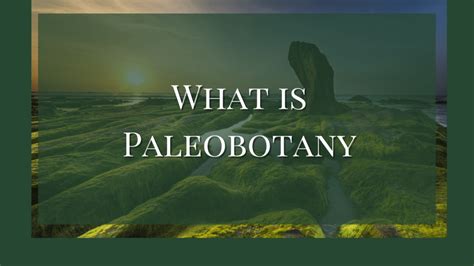 Paleobotani