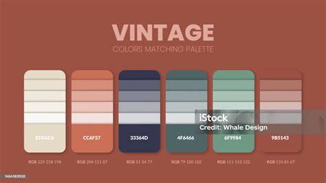Palet Warna Undangan