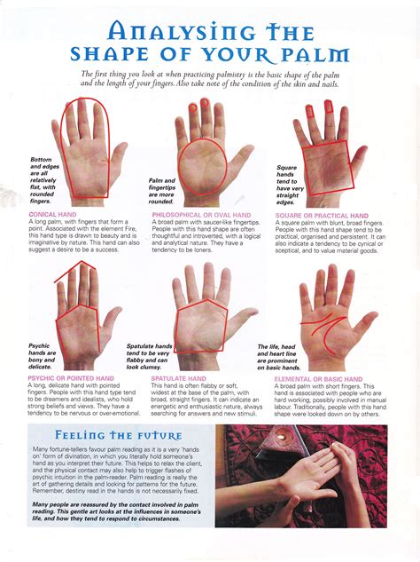 Palm Chart