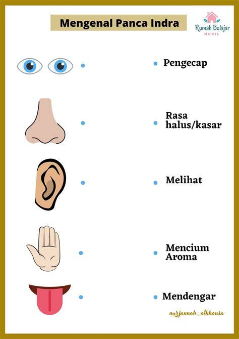 Panca Indra