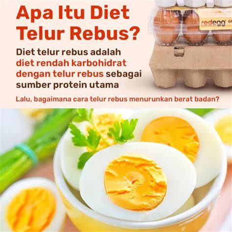 Panduan Diet Telur Rebus