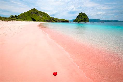 Keunikan Warna Pantai Pink