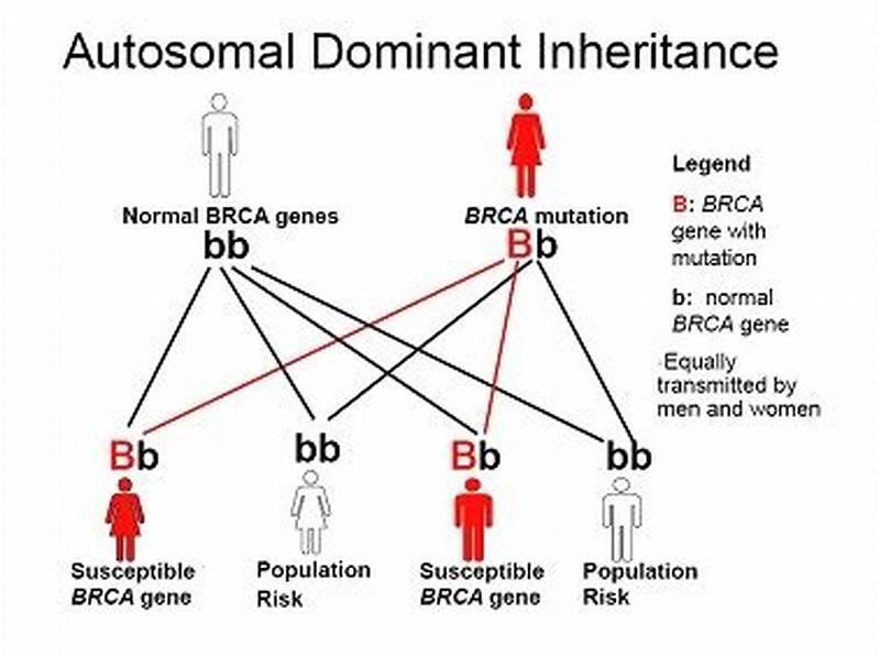 Pattern Of Inheritance For Breast Cancer