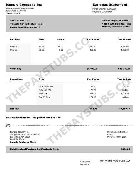 Pay Stubs Templates Free