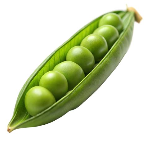 Pea Pod
