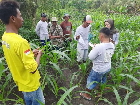 Pelatihan Pertanian