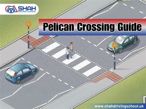 Pelican Crossing