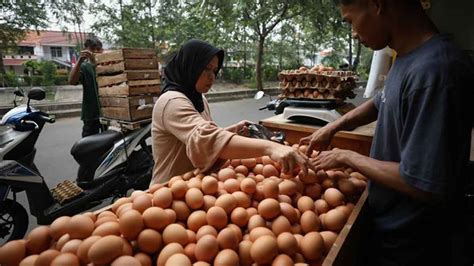 Pemanfaatan Telur Ayam bagi Konsumen