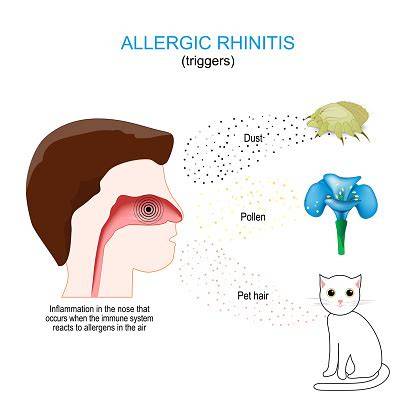 Pemicu Rhinitis Alergi
