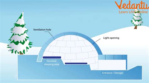 Pengertian Igloo