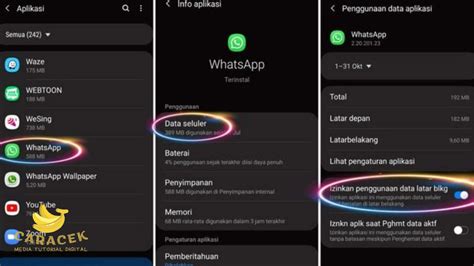 Penggunaan Data WA