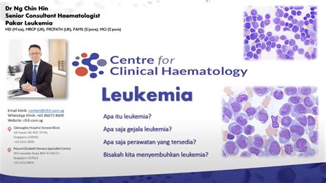 Pengobatan leukemia