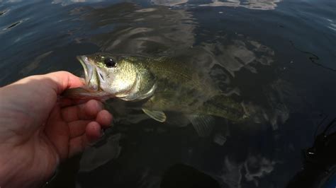 Pennsylvania Largemouth Bass Fishing