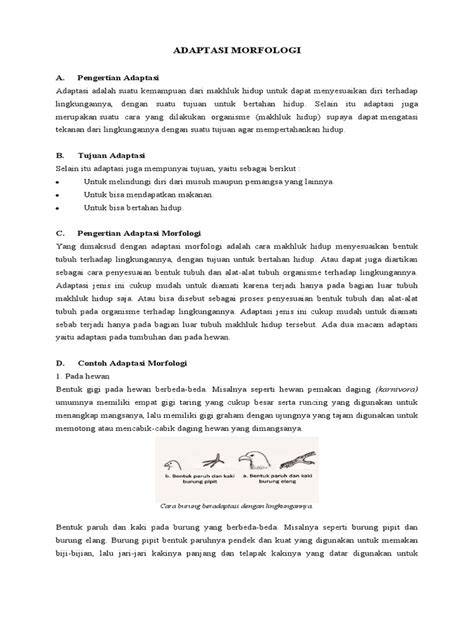 Pentingnya Adaptasi Morfologi