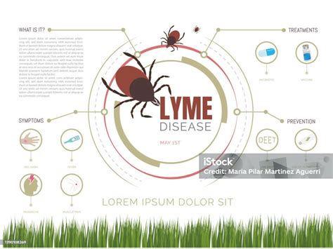 Penyakit Lyme