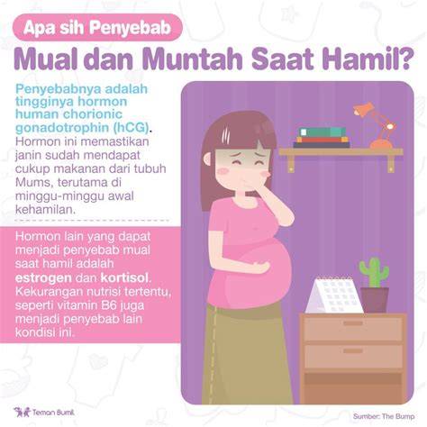 Penyebab Mual Saat Hamil