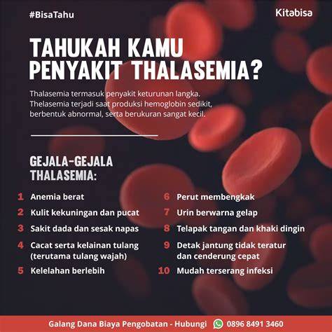 Apa Penyebab Thalasemia? Faktor Genetik Utama