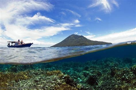 Penyuluhan dan Edukasi Tanaman Laut Sulawesi Utara