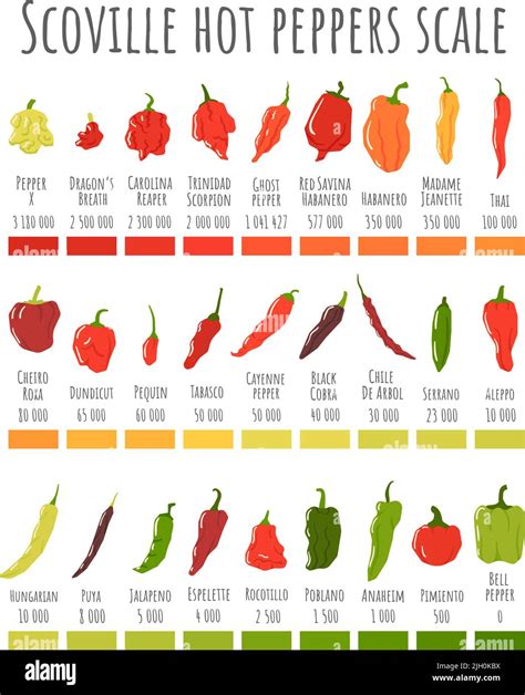 Pepper Spicy Chart