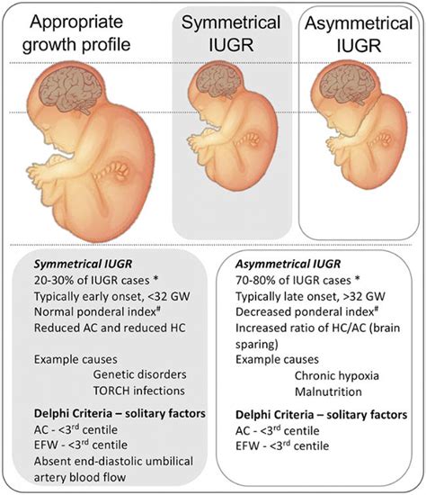 Perbedaan IUGR dan BBLR